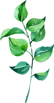 a watercolor painting of a green leaf