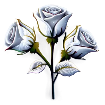 three white roses on a white background