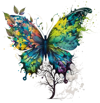 a colorful butterfly on a white background