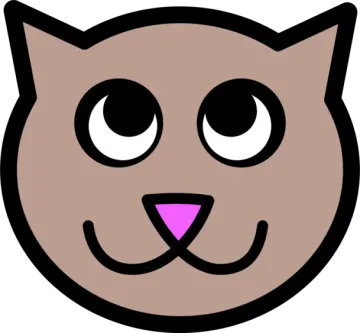 a brown cat's face with big eyes
