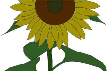 a sunflower with green leaves