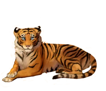 a drawing of a tiger laying down