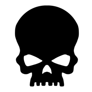 a black and white image of a skull