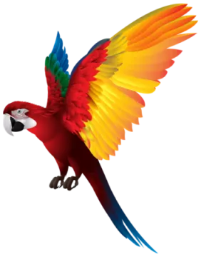 a colorful parrot flying with its wings spread