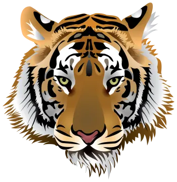 a close up of a tiger's face