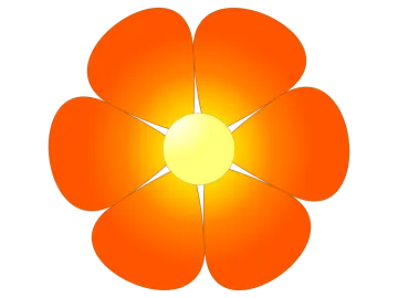 an orange flower on a white background