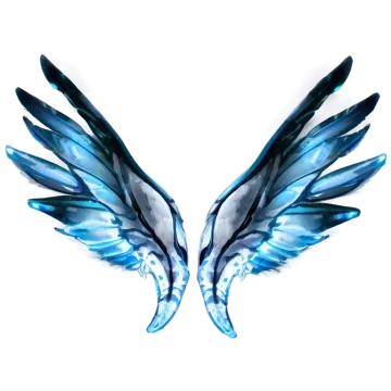 a pair of wings on a white background