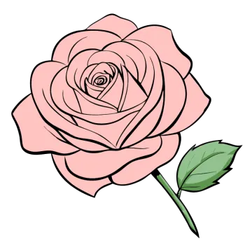 a pink rose flower with green leaves