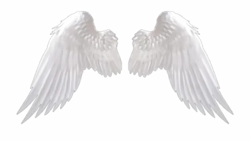 two white wings on a white background
