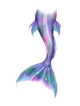 a drawing of a mermaid tail on a white background
