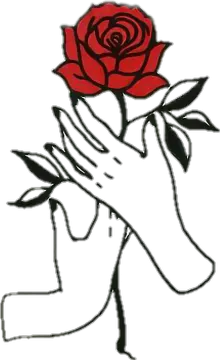 a drawing of a hand holding a red rose