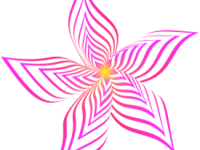 a purple flower on a white background