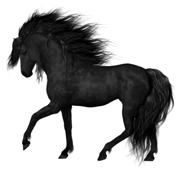 a black horse running on a white background