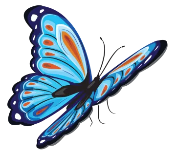 a blue butterfly on a white background