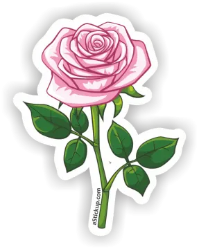 a pink rose sticker on a white background
