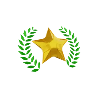 a gold star with green leaves around it