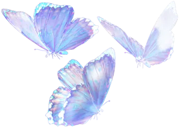 three blue butterflies on a white background