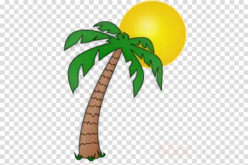 a palm tree with the sun in the background