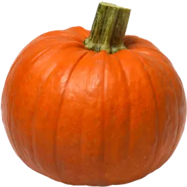 a small orange pumpkin on a white background