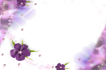 purple flowers on a white background
