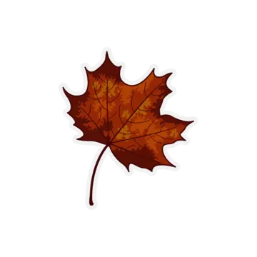 a brown maple leaf on a white background