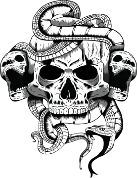 a skull with a snake on it's head