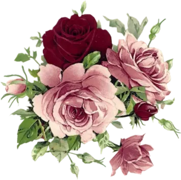 a bouquet of pink and red roses with green leaves