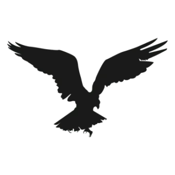 an eagle silhouetted on a white background