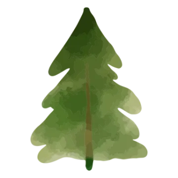 a green christmas tree on a white background