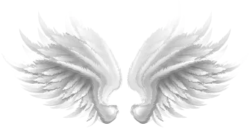 two white wings on a white background