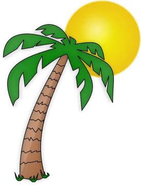 a palm tree with the sun in the background