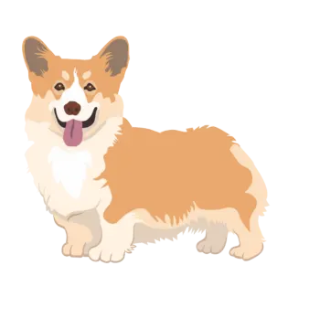 a brown and white dog with its tongue out