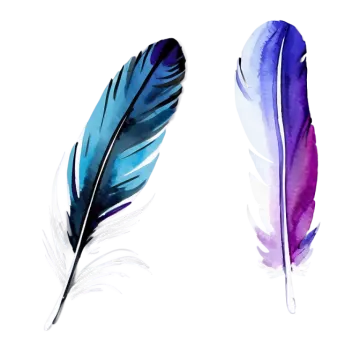 two watercolor feathers on a white background