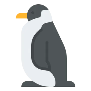 a black and white bird sitting on the ground