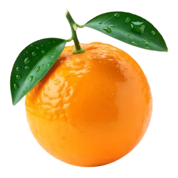 an orange with water droplets on it