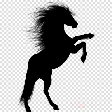 a silhouette of a horse with long hair