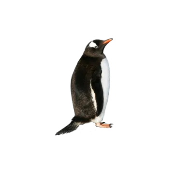 a penguin standing on top of a white surface