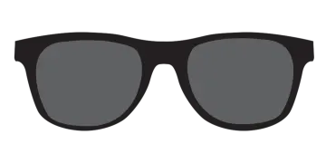 a pair of sunglasses