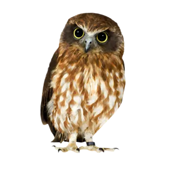 a brown and white owl with yellow eyes