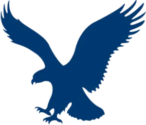 an eagle flying in the air