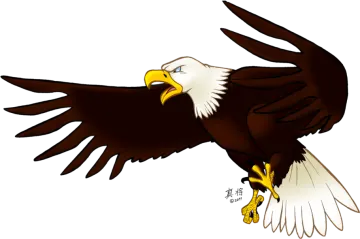 an eagle flying with its wings spread