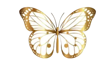 a golden butterfly on a white background