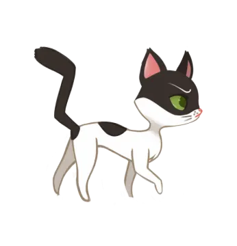 a black and white cat with green eyes