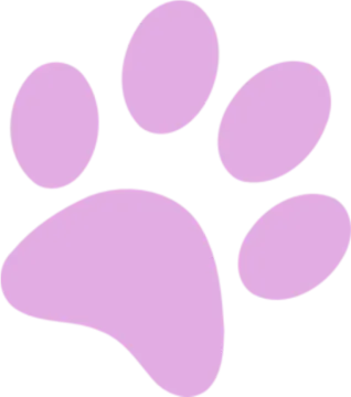 a pink paw print on white background