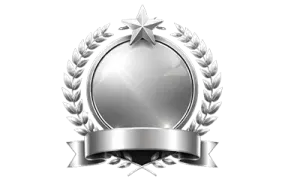 a silver award badge with a ribbon around it