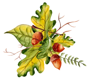 a watercolor painting of autumn leaves
