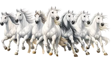 a group of white horses running together