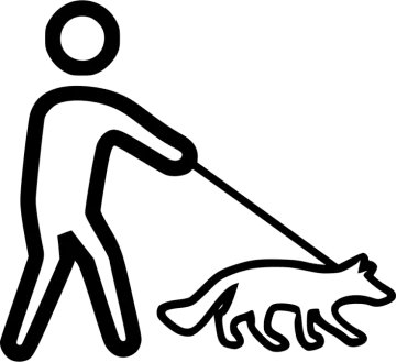 a person with a dog on a leash