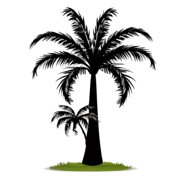 a palm tree silhouetted on a white background