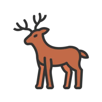 a brown deer standing on a white background